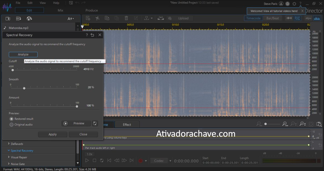 CyberLink AudioDirector Rachadura